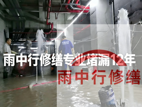 新乡某污水处理厂钢筋混凝土池堵漏案例