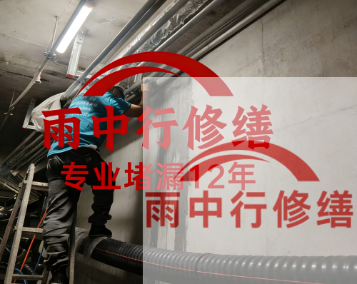 新乡电缆线空洞堵漏加固案例