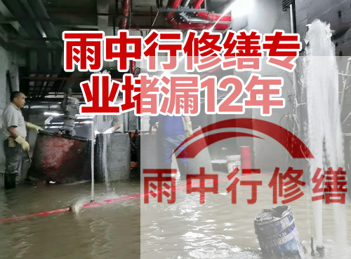 新乡中国五矿某大型污水处理厂堵漏案例